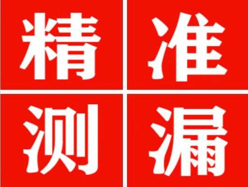 辛集尚嘉漏水精准查找