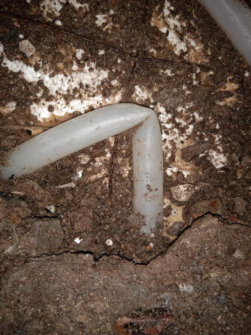 辛集堵点精准查找